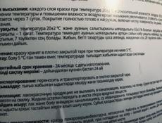 Котёнок 2 месяца . Лапочка ! 