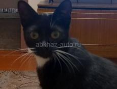 ОТДАМ В ДОБРЫЕ РУКИ