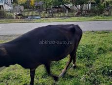Продажа 