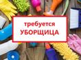 Уборщица (п.Цандрипш)
