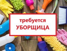 Уборщица (п.Цандрипш)