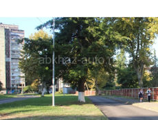 новый раион улица Картозия 8