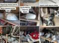 Капоты, бампера, фары, радиаторы, амортизаторы и много других запчастей в наличии и под заказ 