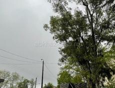 БЕЗ ТОРГА ( ДОВОЕННАЯ СОБСТВЕННОСТЬ)