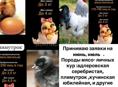 Продам 