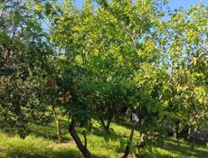 Продажа  2 эт.дом, 25 сот.довоенный,4 млн.рубул.Кабардинская