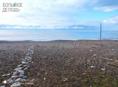 Земельный участок (ветхим дом) на берегу моря
