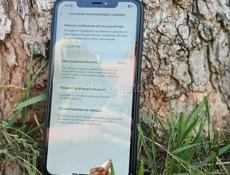 Айфон Xs max
