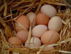 Продается мандариновые сок  Банка 250 р так же  свежие домашние яйца , десяток 200 р Центр-ый рынок Звонить или писать на ватсап 7752026 