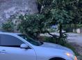 Infiniti G35