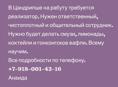 Реализатор 