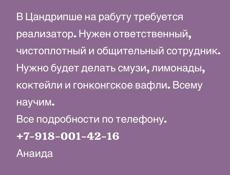 Реализатор 