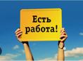 Дам машину в аренду информация по телефону 