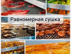 Дегидратор (сушильная камера конвенционная Т120-18)