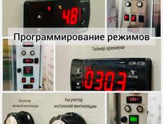 Дегидратор (сушильная камера конвенционная Т120-18)