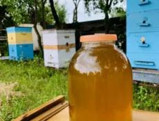 Чистый натуральный майски мед 🍯 