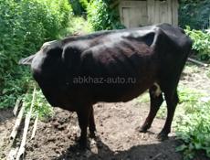 Продаю 