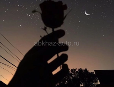 ‼️Сдам суточно по договору могу на длит сурок сдать 