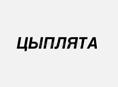 Цыплята 20 дней 