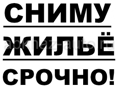 Срочно сниму жилье до ноября Цандрипш