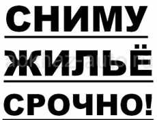 Срочно сниму жилье до ноября Цандрипш