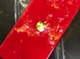 iPhone 11 /128