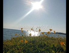 КВАРТИРА НА БЕРЕГУ МОРЯ