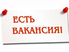 Срочно требуются сотрудники