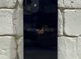 iPhone 12 128GB