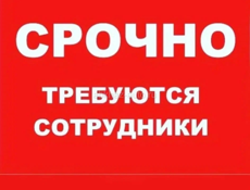 Срочно требуется персонал в Кафе 