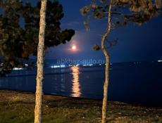 1 гектар в Гульрыпше