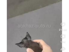 Диван.