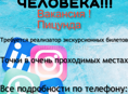 Требуется реализатор экскурсионных билетов