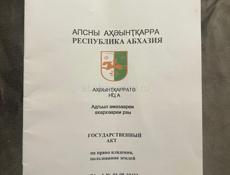 Алахадзе 6 соток. 