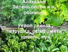 Зелень 