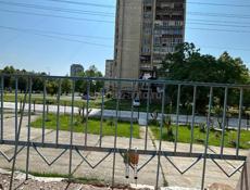 Продам 1к квартиру с новым ремонтом 