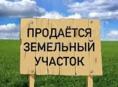 гагра , 10 соток 