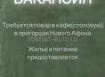 Требуется повар и посудомойщица