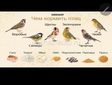Отдам детские вещи