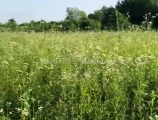 Продам участок 32 сотки 