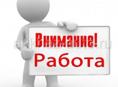 Доставщик в пиццерию.