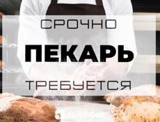 Пекарь 