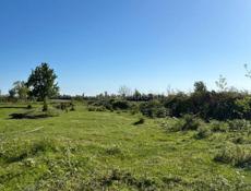 Бабушара 45 соток (Аэропорт).