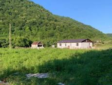 Гагра, Колхида 6 соток. 