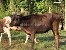 Продажа 