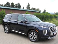 Hyundai Dynasty