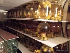 Продаю компоты из фейхоа