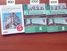 Школьные книги 