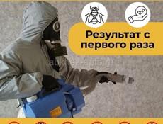 Уничтожение короедов, термитов, клопов, тараканов 