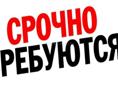 Нужна Посудница 